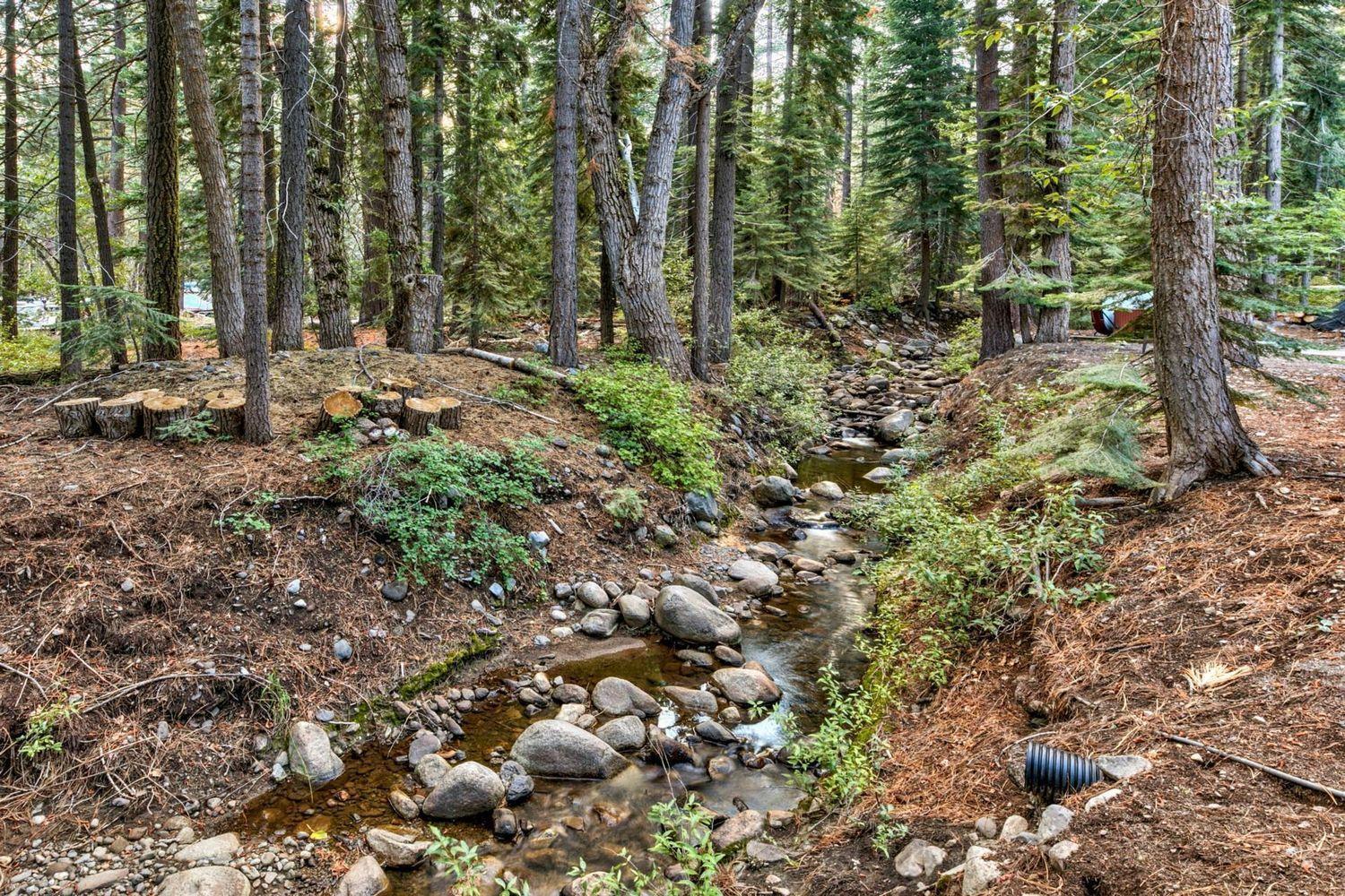 Donner Lake Inn トラッキー エクステリア 写真